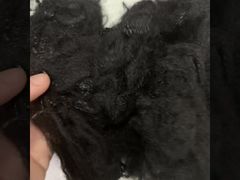 Fibra oca 2D reciclada nativa de 2,5D * 64 mm