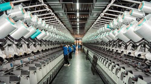 Últimas notícias da empresa sobre Diferenças entre fibras de algodão e poliéster: uma análise profissional aprofundada