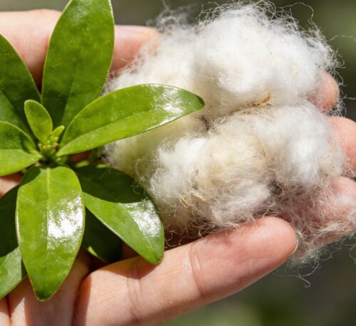 Últimas notícias da empresa sobre Fibras ocas pretas e brancas: a escolha preferida para a fabricação têxtil e industrial