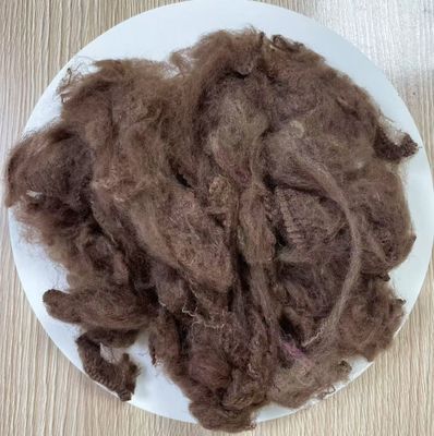 Bom preço. Fibra de poliéster reciclado em grampo 2.5D 51mm Café Escuro on-line