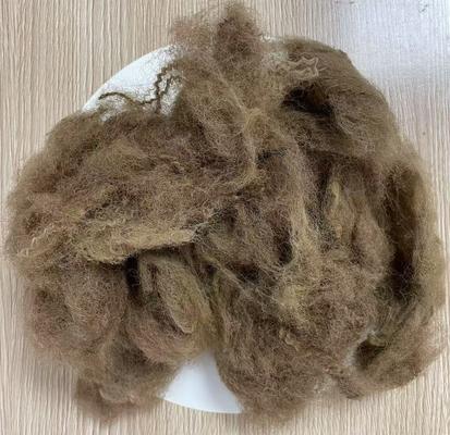 Bom preço. Fibra de poliéster reciclado de baixa elongação 25D 65mm cor camelo profundo on-line