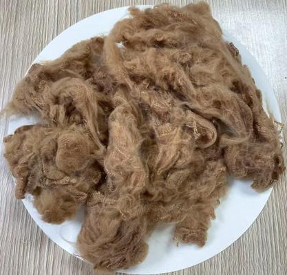 Bom preço. Fibra de poliéster reciclado em grampos 1.5D 38mm Camelo Claro on-line