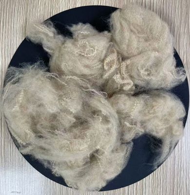 Bom preço. Fibra de poliéster reciclado em grampo 5D 51mm Bege Grau A on-line