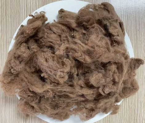 Bom preço. Fibra de estribo de poliéster reciclado 2.5D 51mm Amarelo Café Alta resistência às rugas on-line
