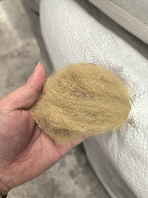 Bom preço. Fibra de poliéster reciclado em grampo 6D 51mm Bege Baixa elongação on-line